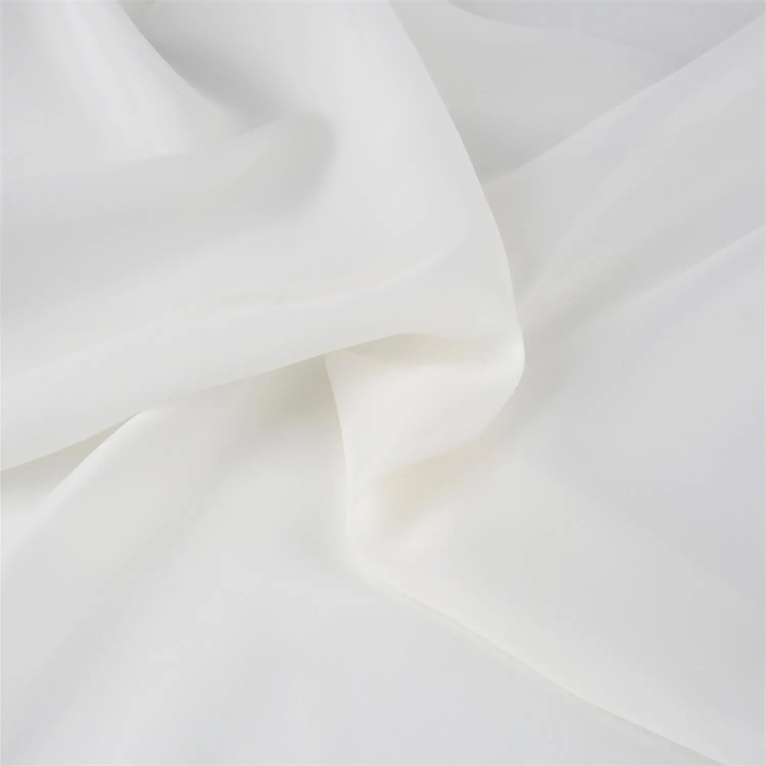 Ivory 15 | Phoebe
