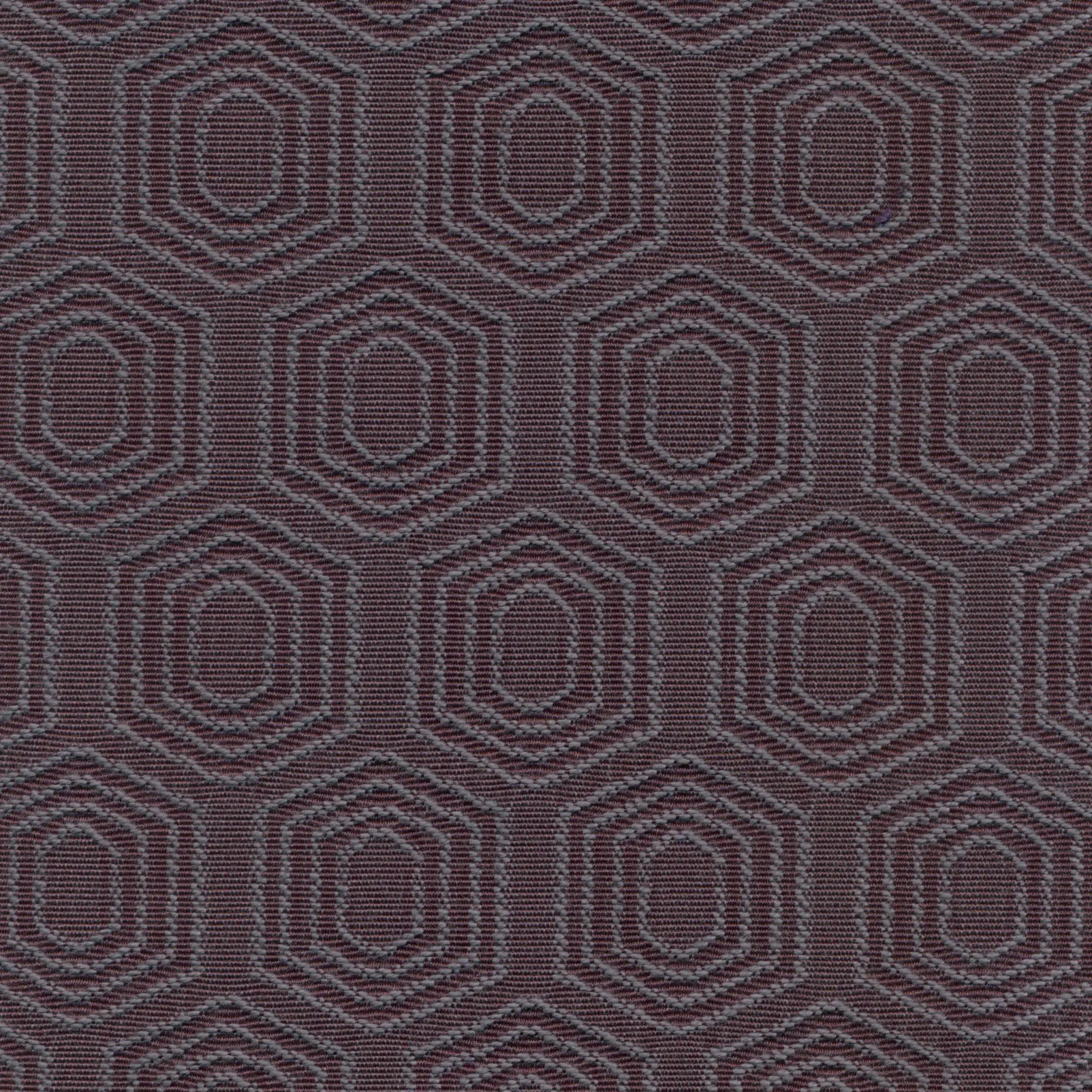 Plum 33 | Vigor