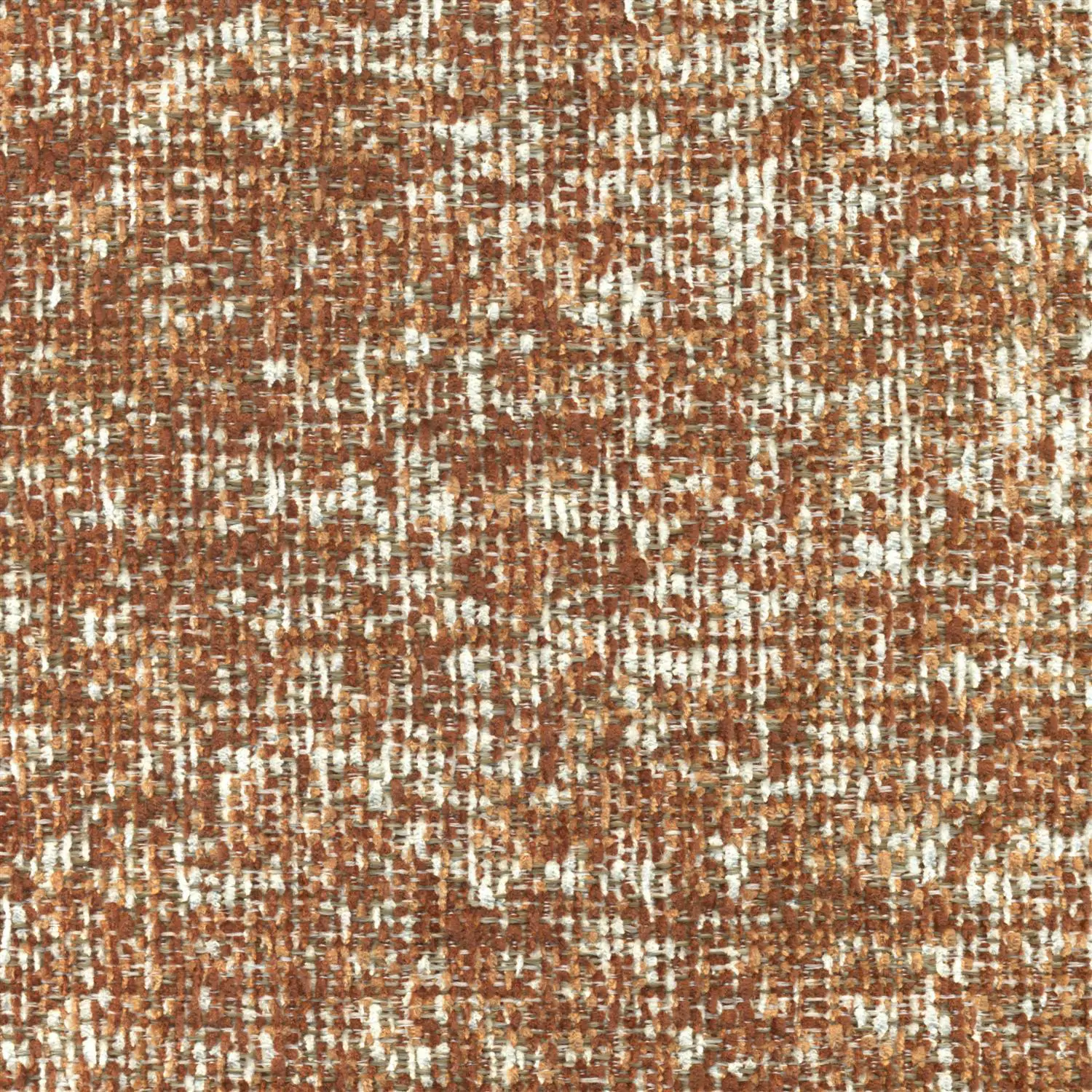 Brown 13 | Prato