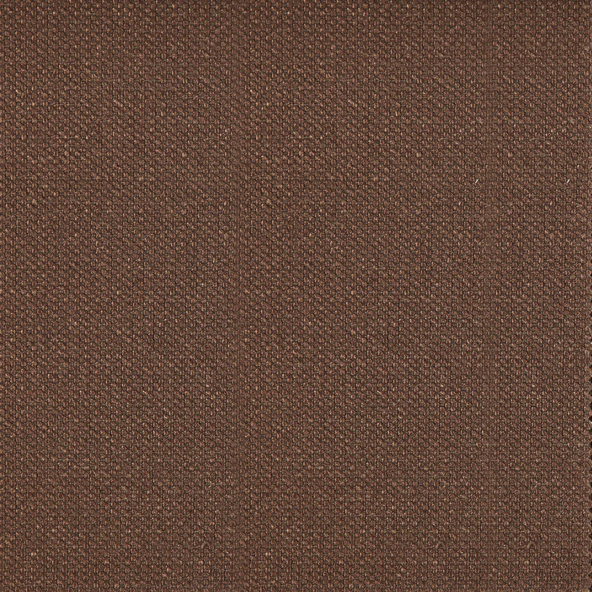 Tiramisu 036 | Premier