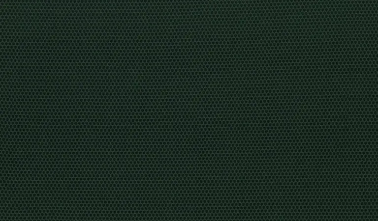 Pine 13