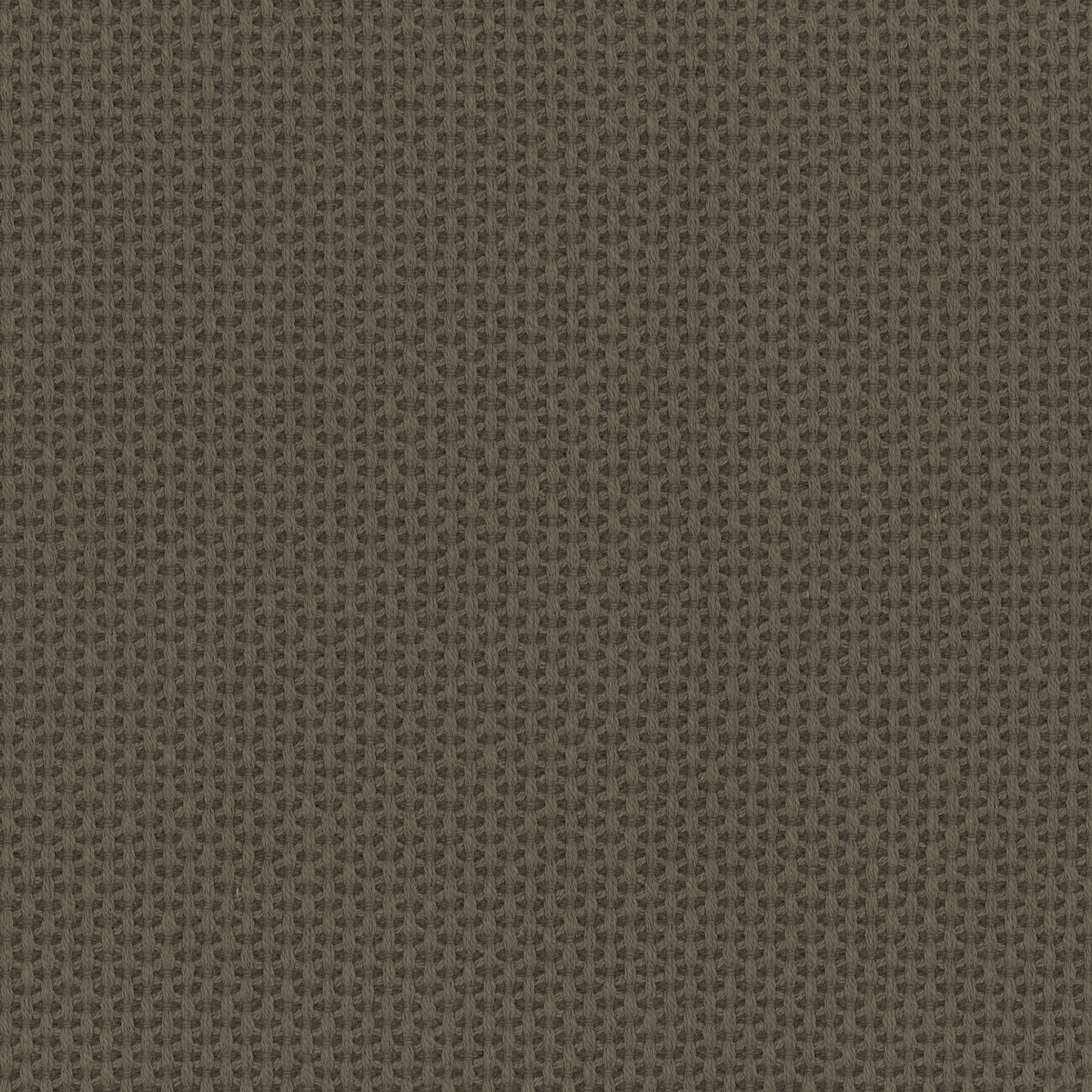 Cub 08 | Mura