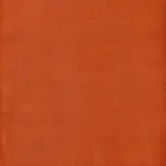 Terracotta 19 | Samanta