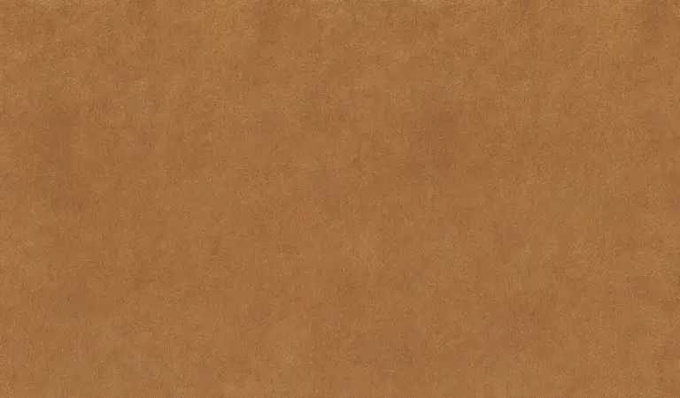 Tan 12