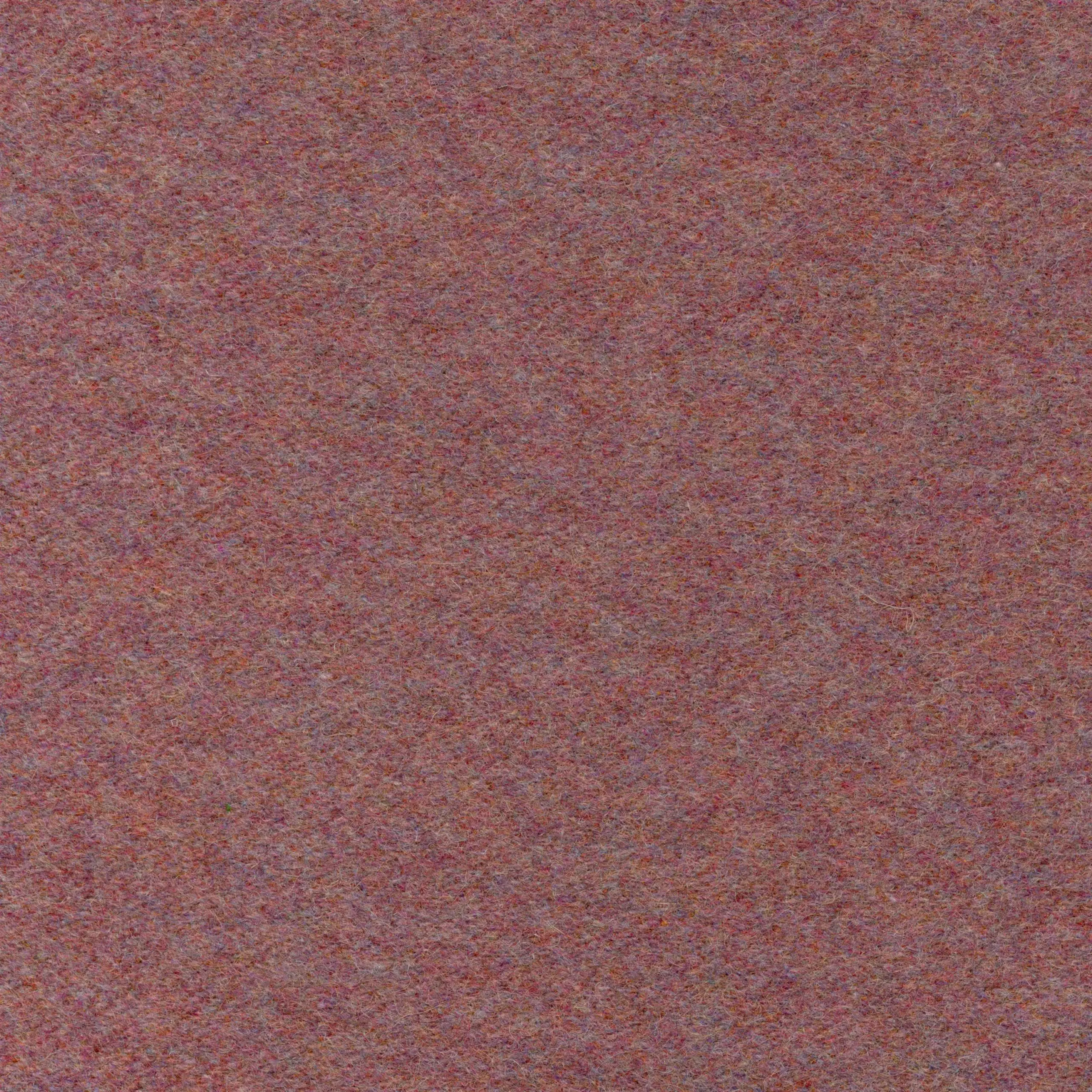 Sorbet 41 | Wool
