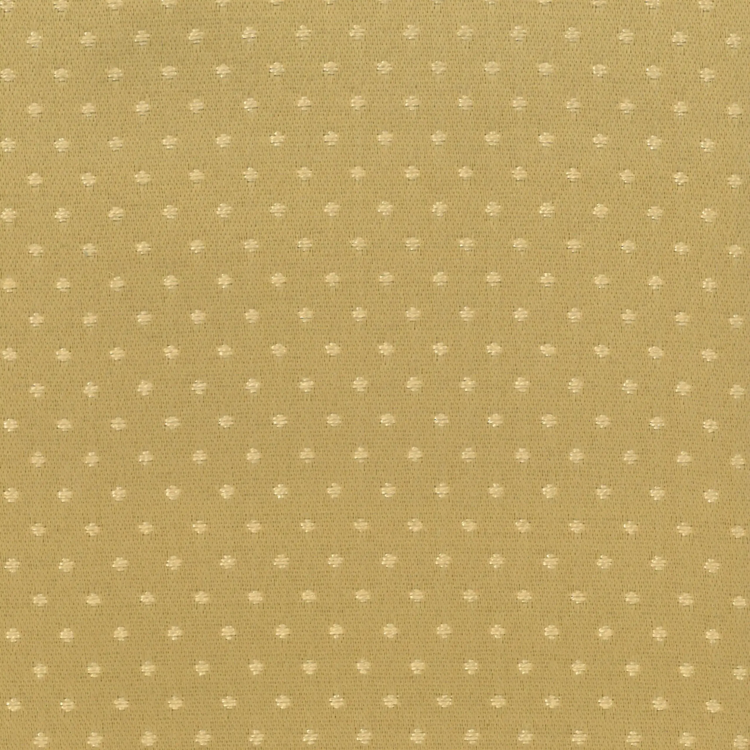 Gold | Paola