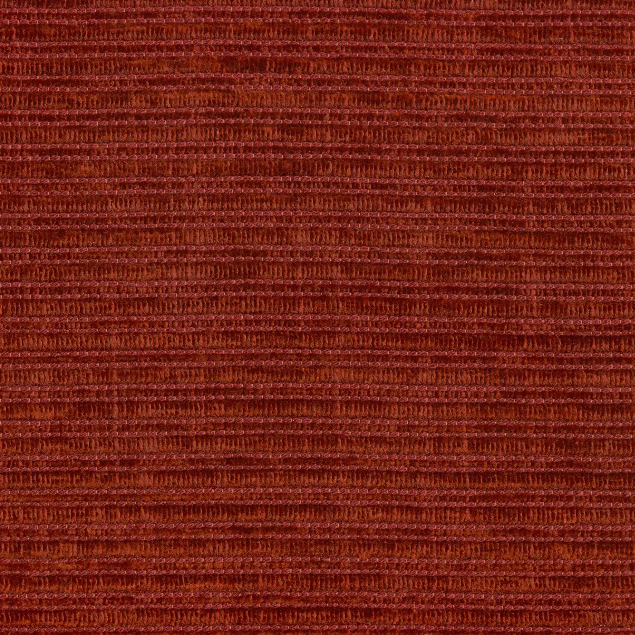 Raspberry 53 | Nira