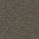 Pewter 542 | Saute