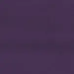 Plum 645 | York