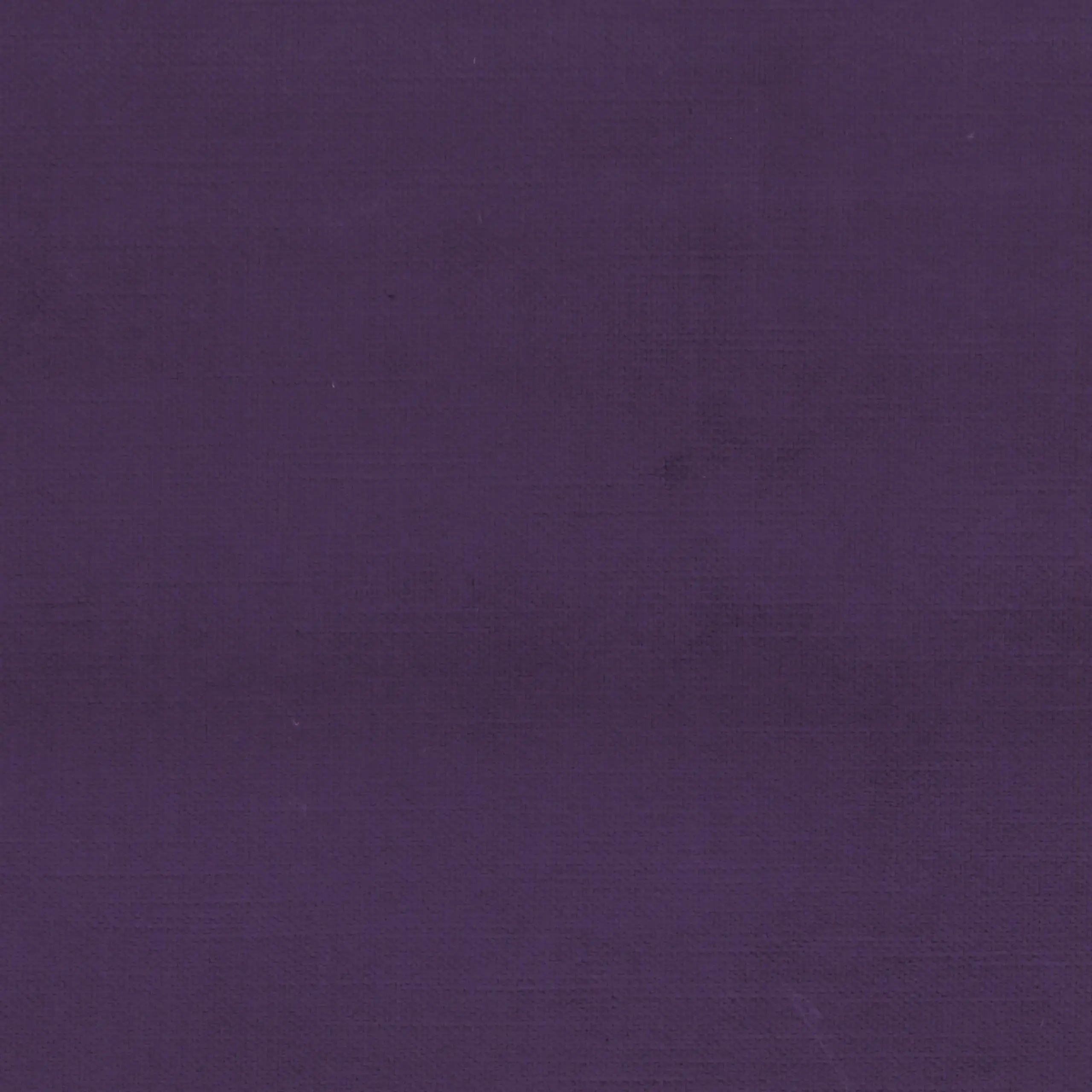 Plum 645 | York