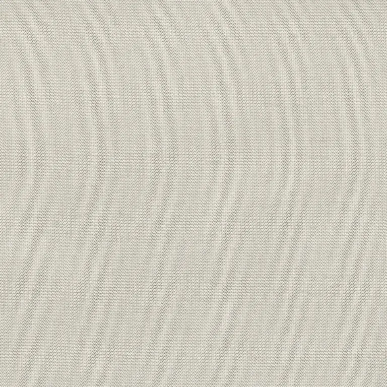 Raffia 06