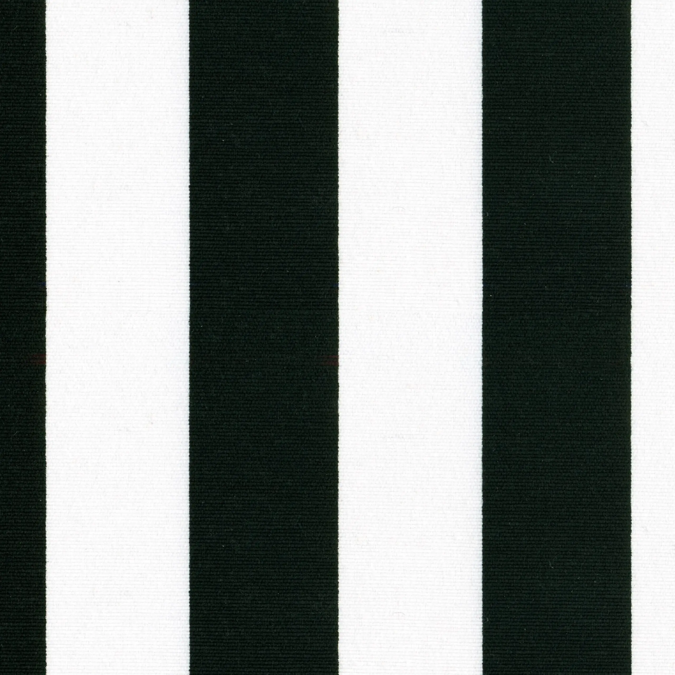 Black | Prints