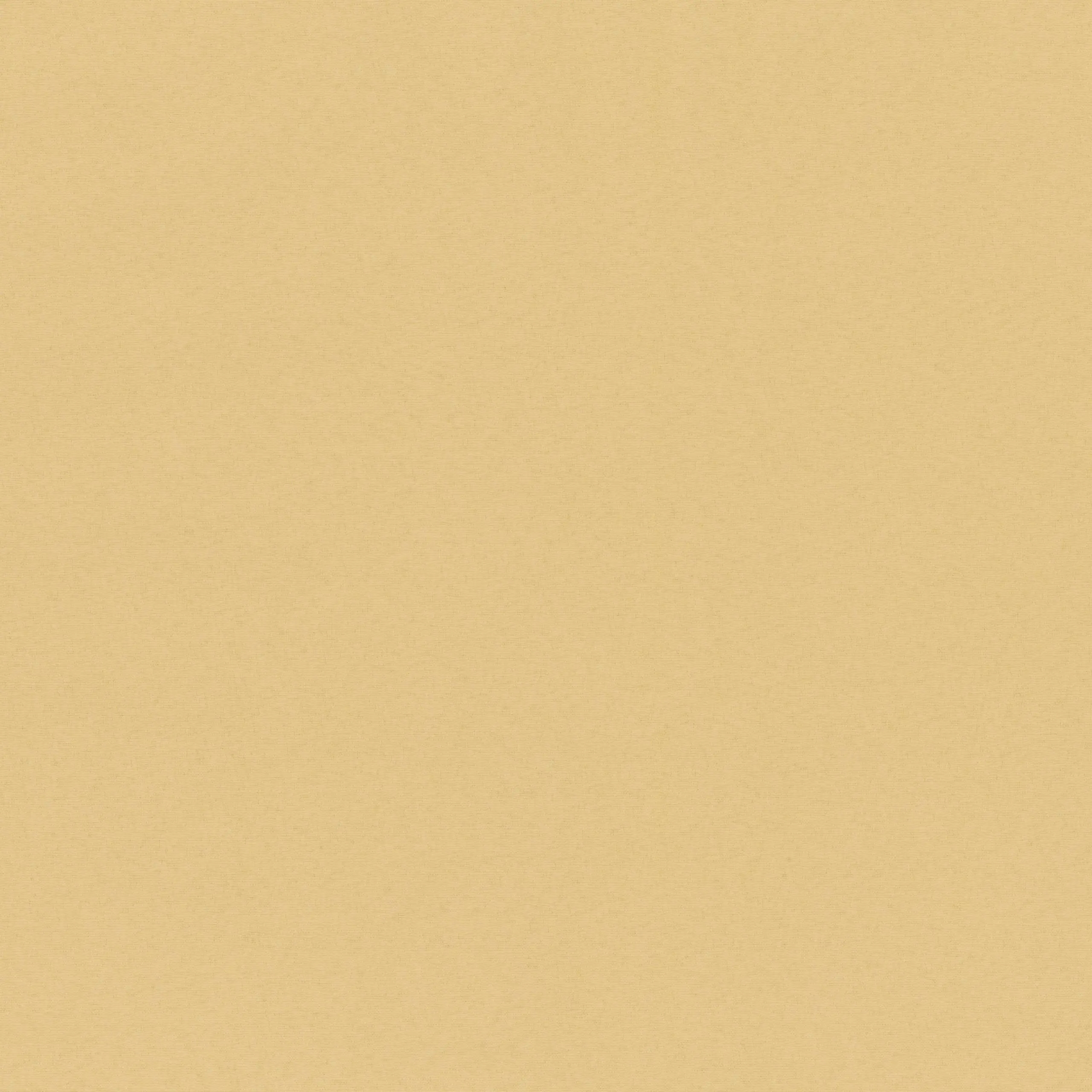 Honey Peach 07 | Sage