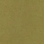 Olive 19 | Onyx