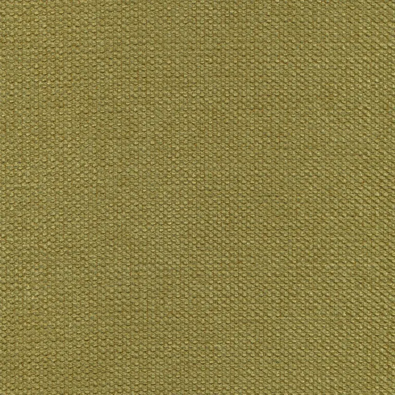 Olive 19