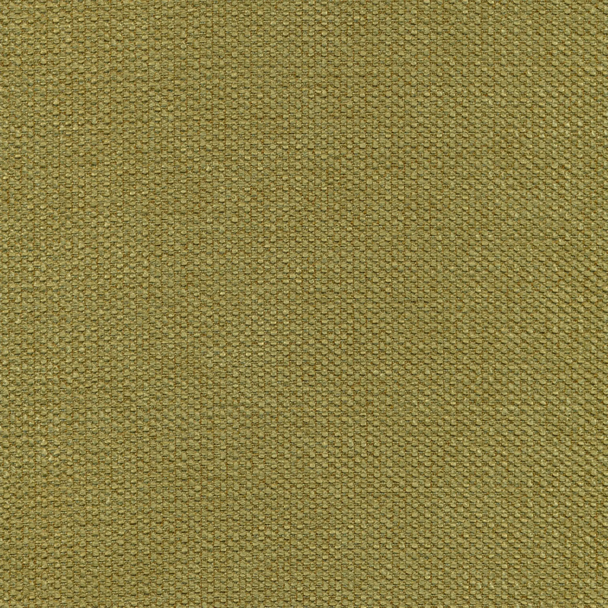 Olive 19 | Onyx