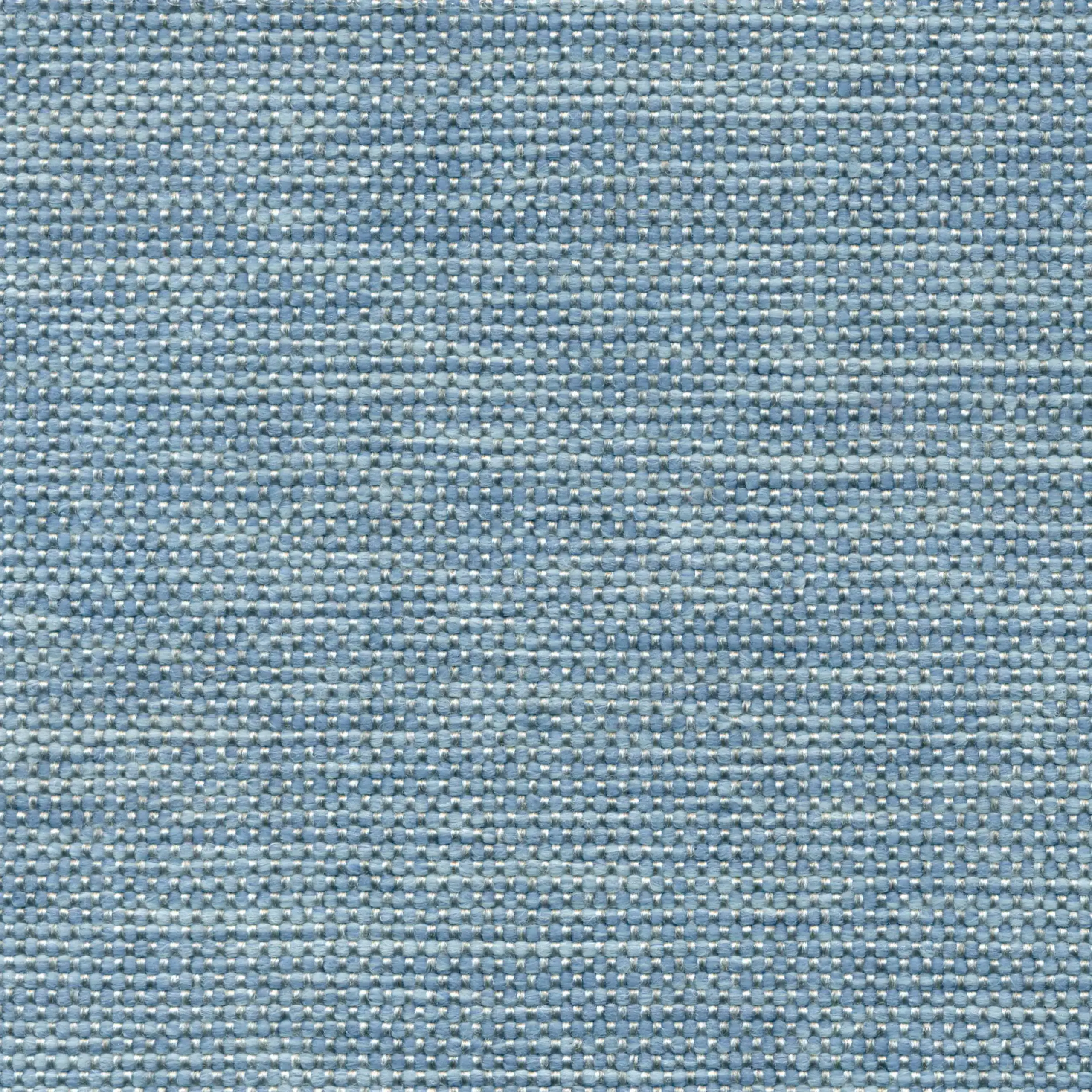 18636 | Mango