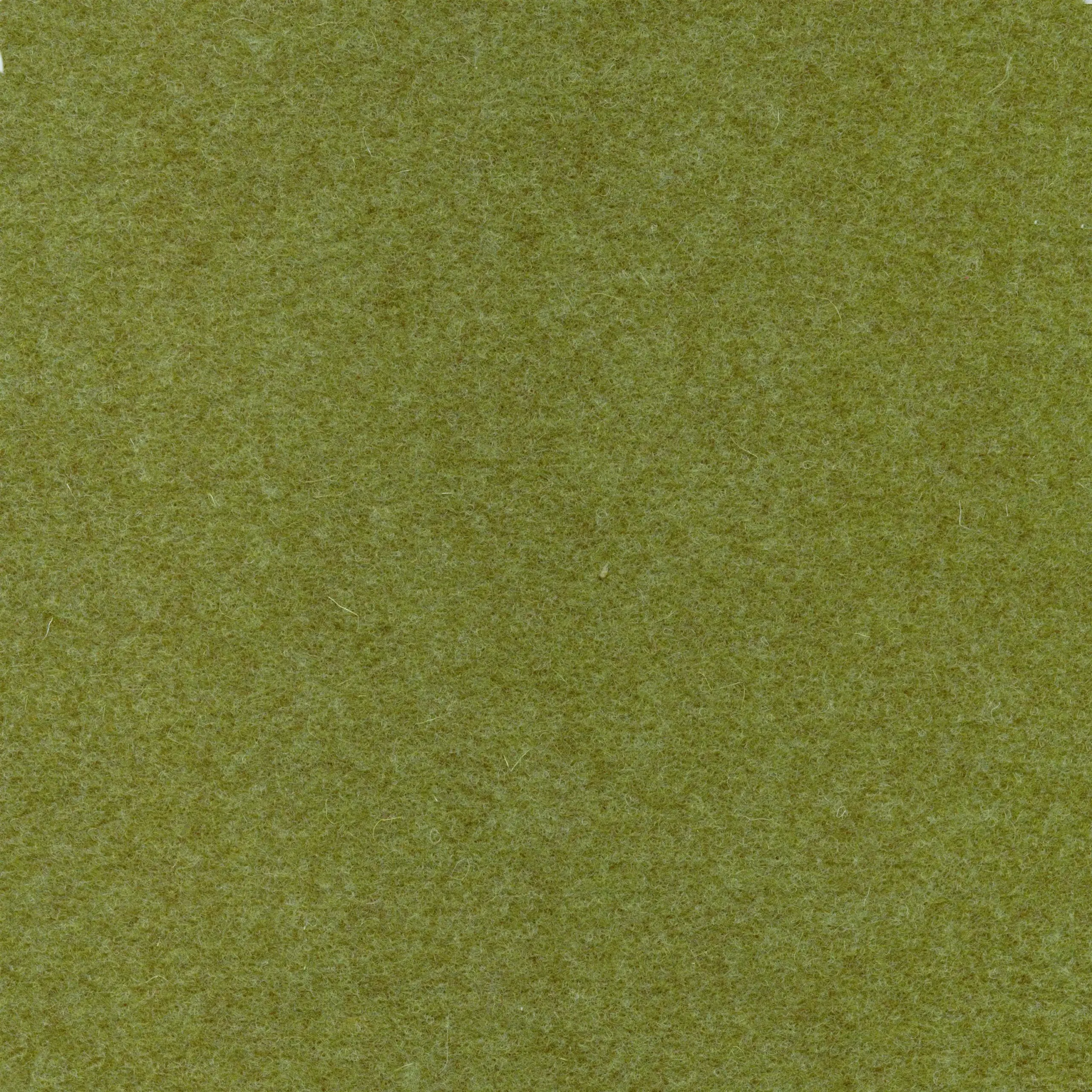 Lime 089 | Walt
