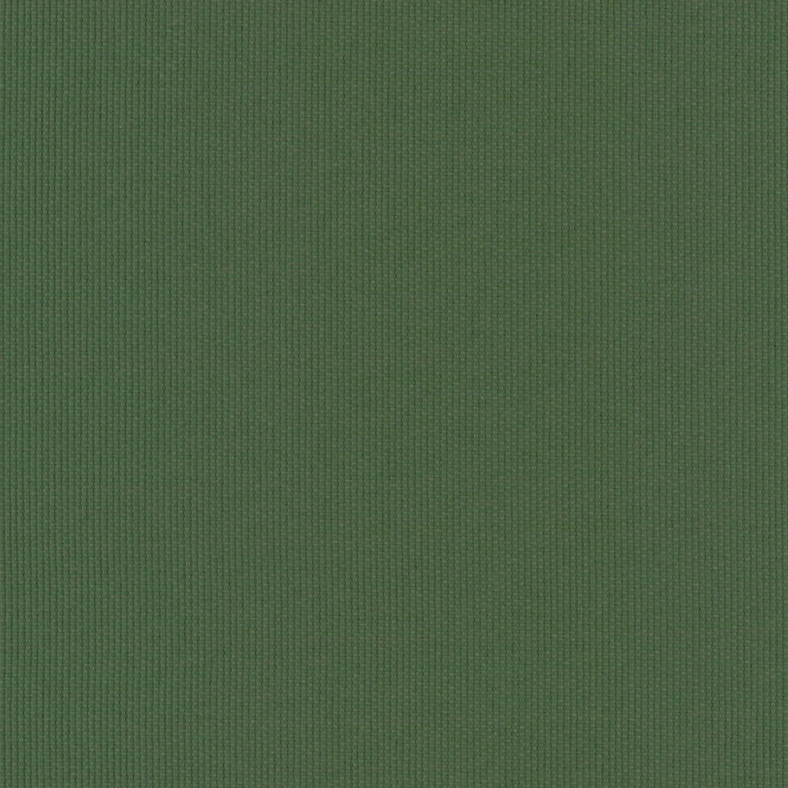 Grass 81 | Ricardo FR