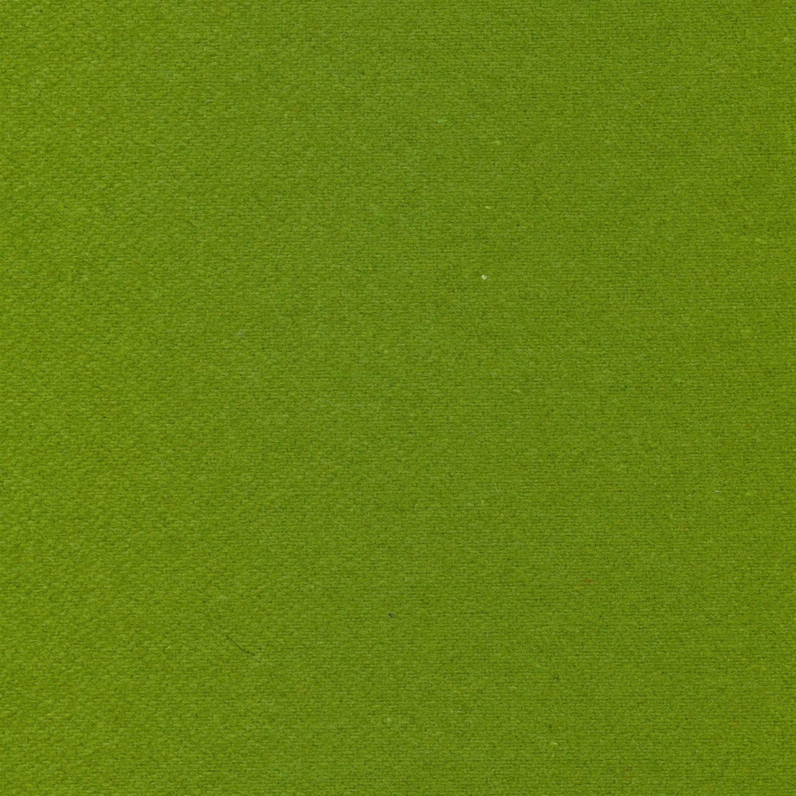 Woodbine 27 | Wool
