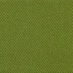 Lime 501 | Meteor