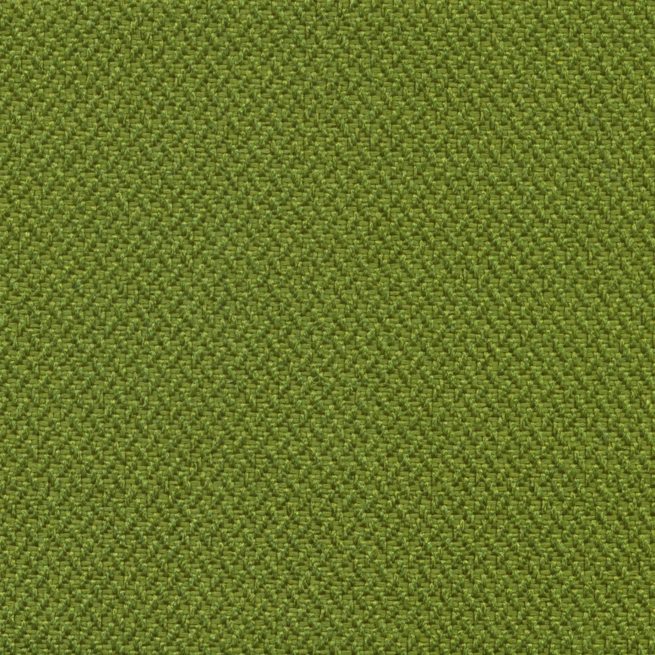 Lime 501 | Meteor