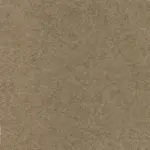 Sepia 518 | Walt