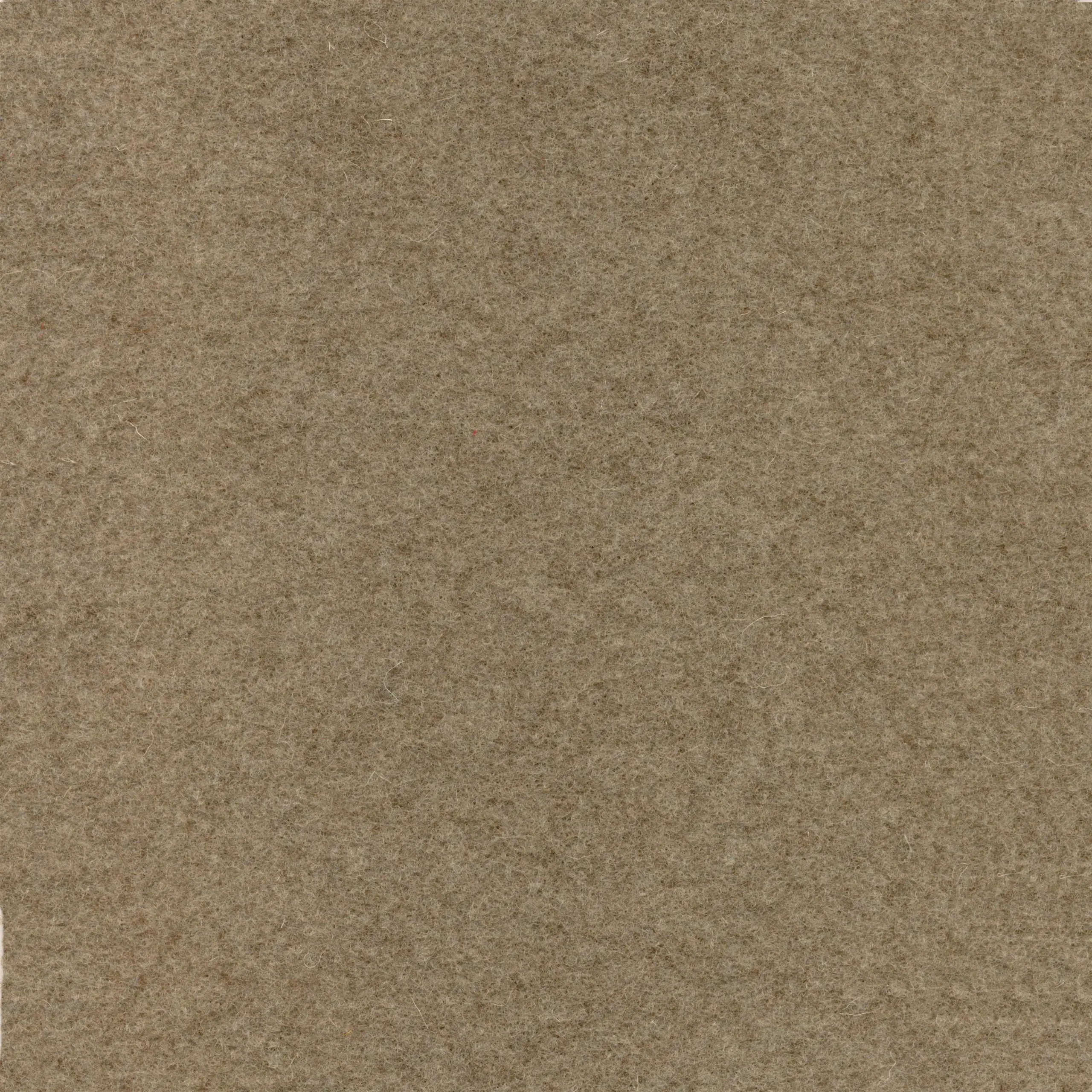 Sepia 518 | Walt