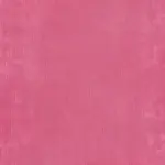 Sorbet 14 | Palmer