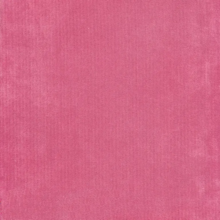Sorbet 14