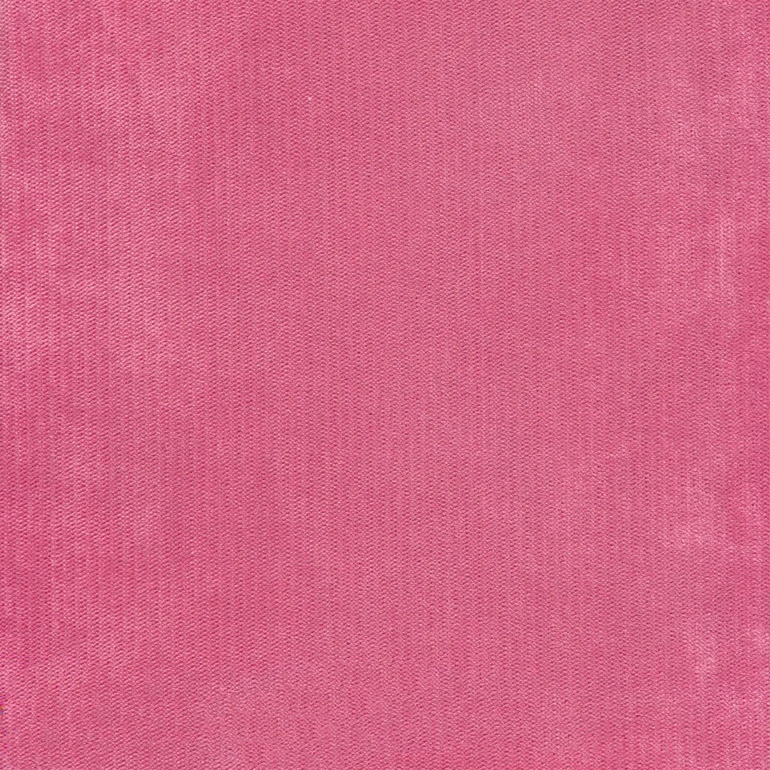 Sorbet 14 | Palmer