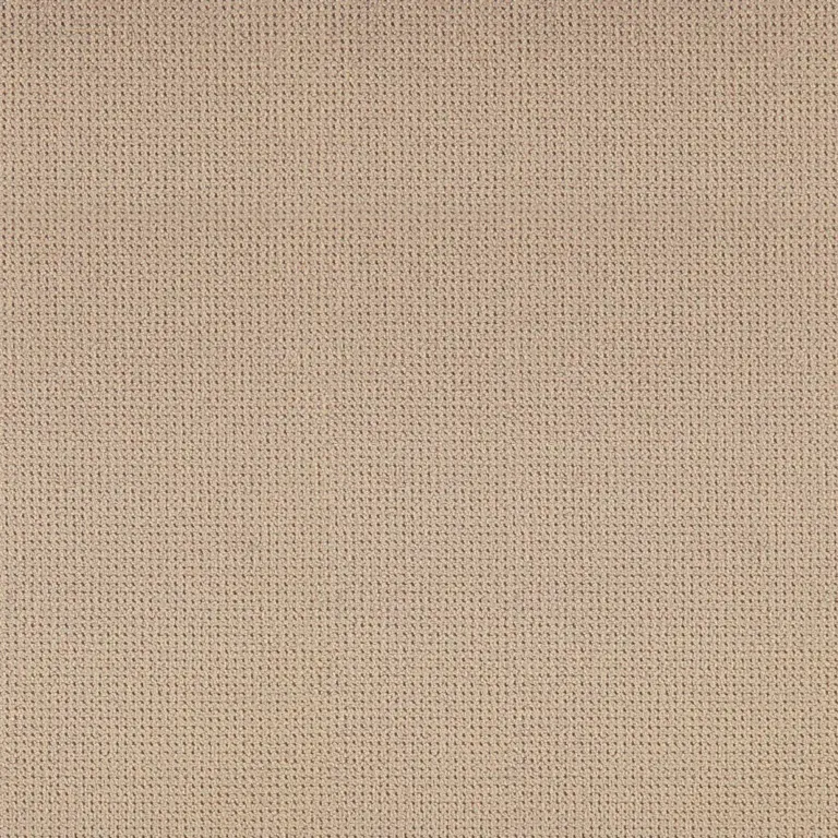 Oyster 069