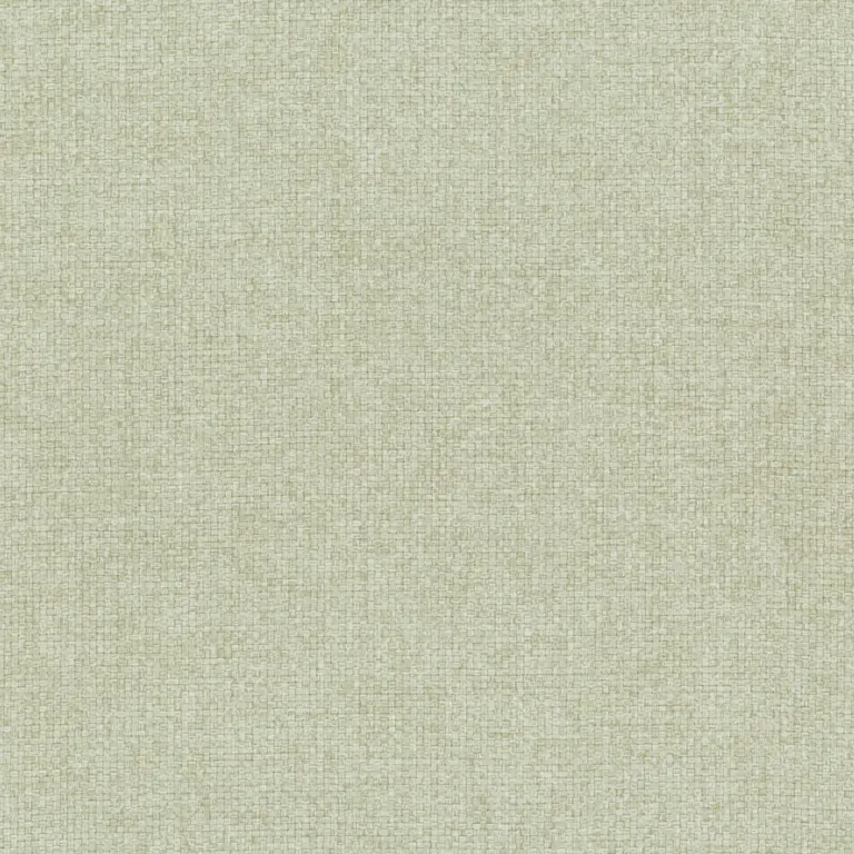 Pelican 10