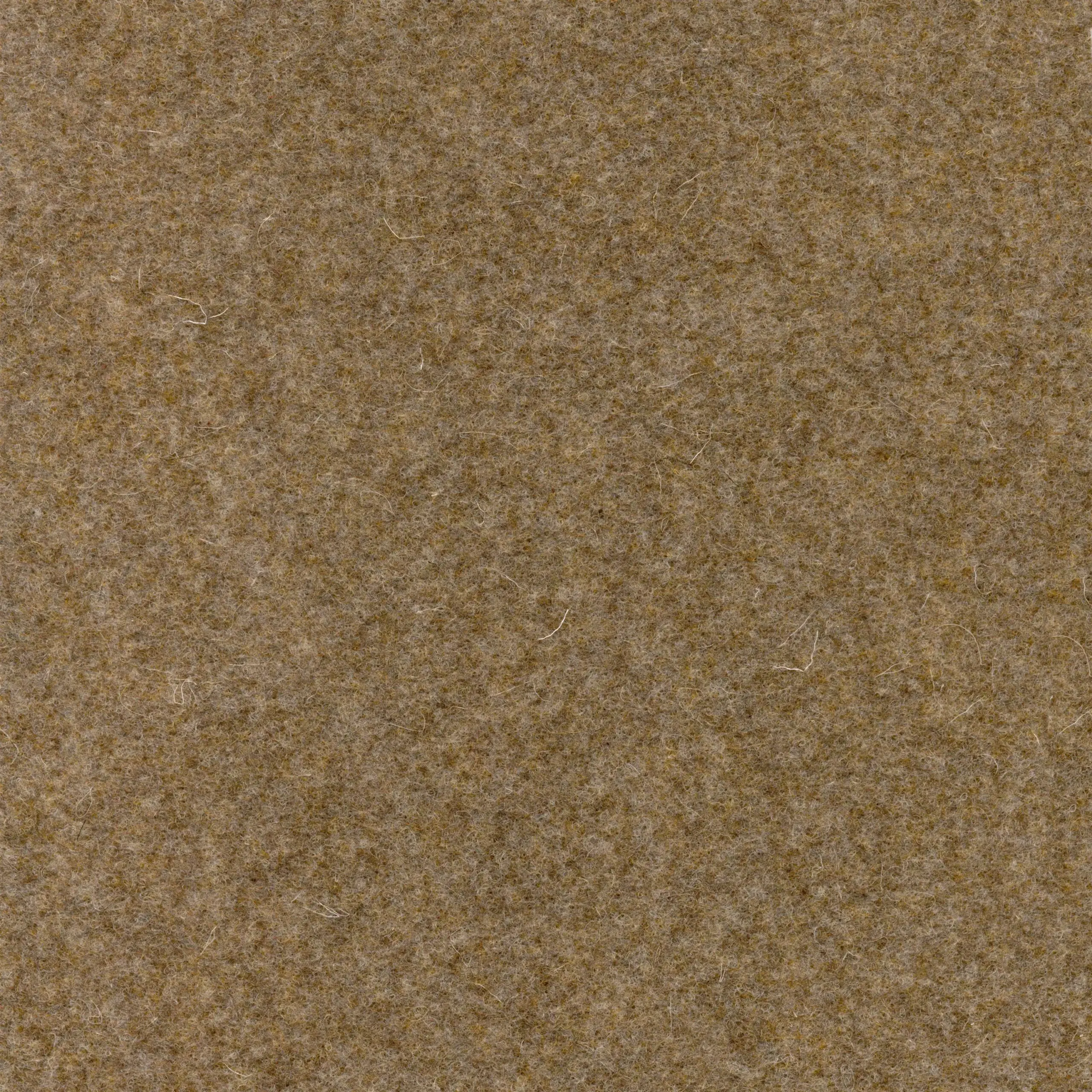 Dust 352 | Walt