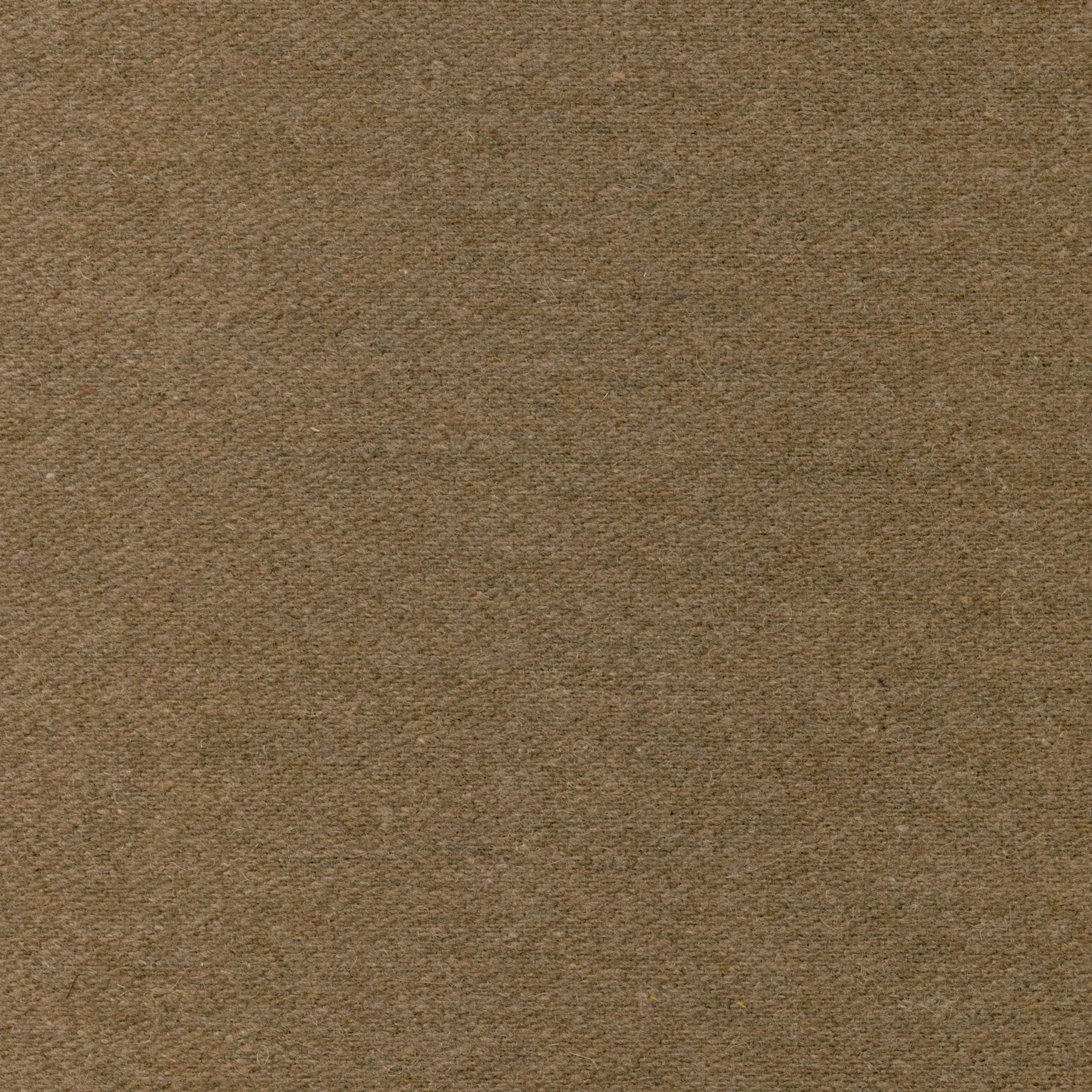 Dust 22 | Wool