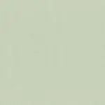 Silver Birch 70 | Linea