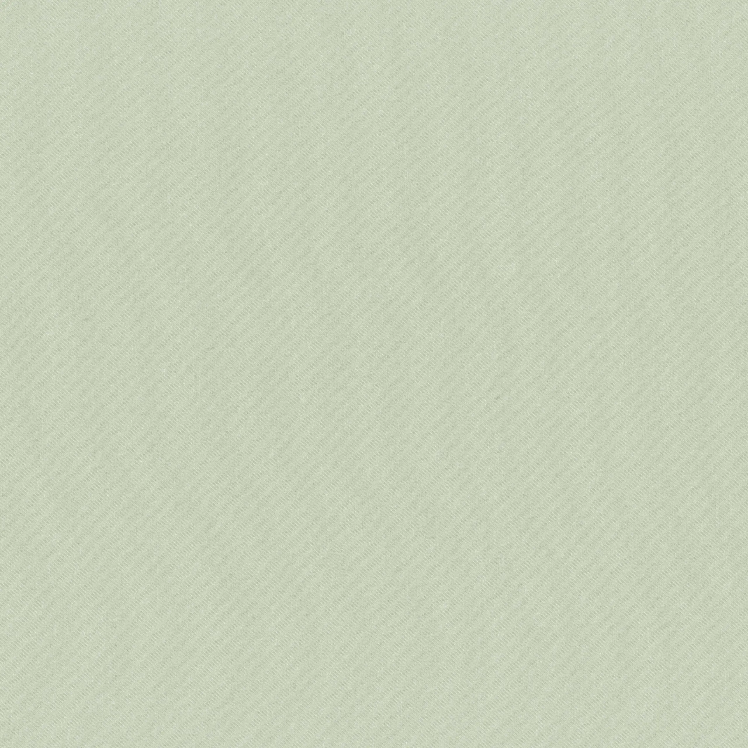 Silver Birch 70 | Linea