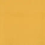 Sunflower 14 | Scot