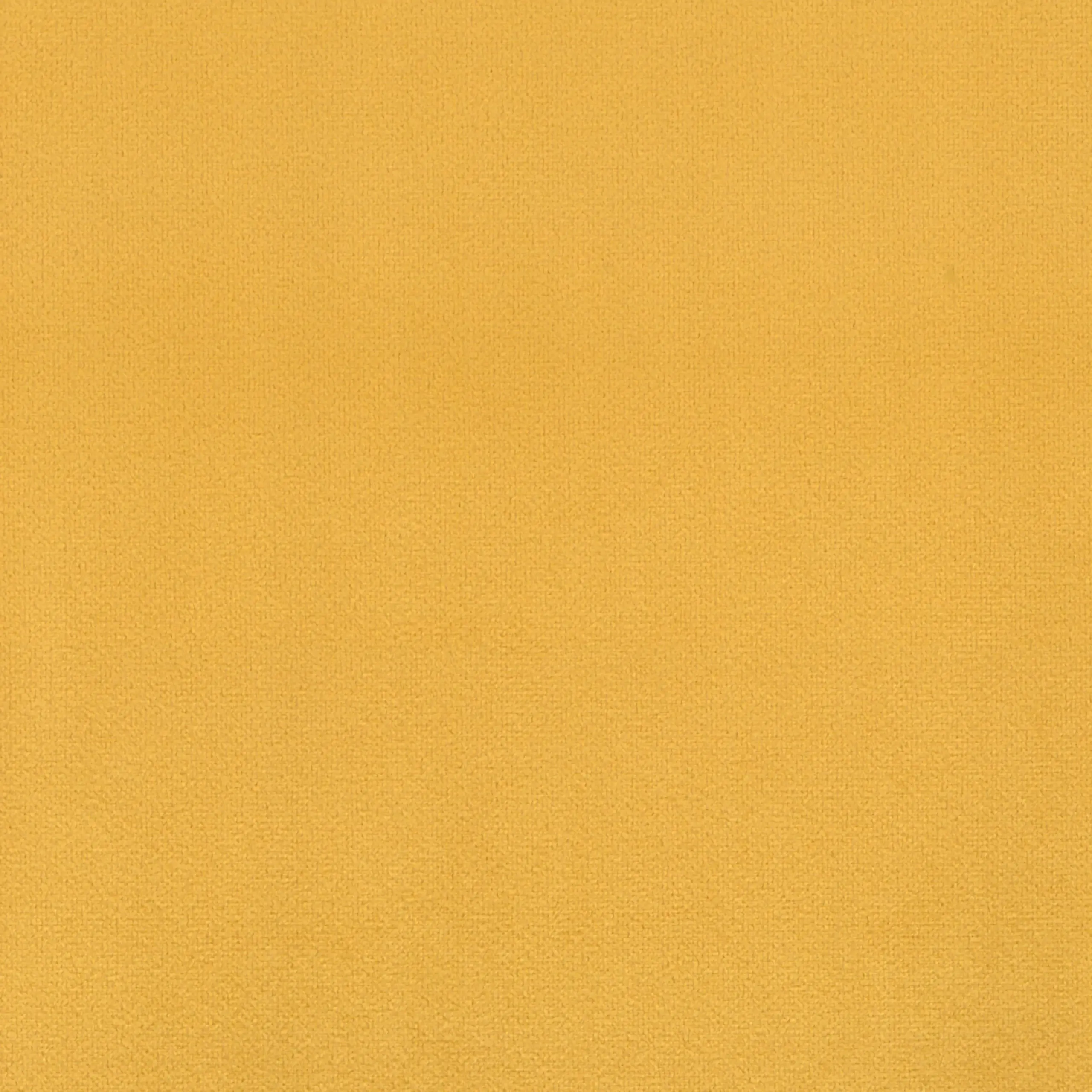 Sunflower 14 | Scot