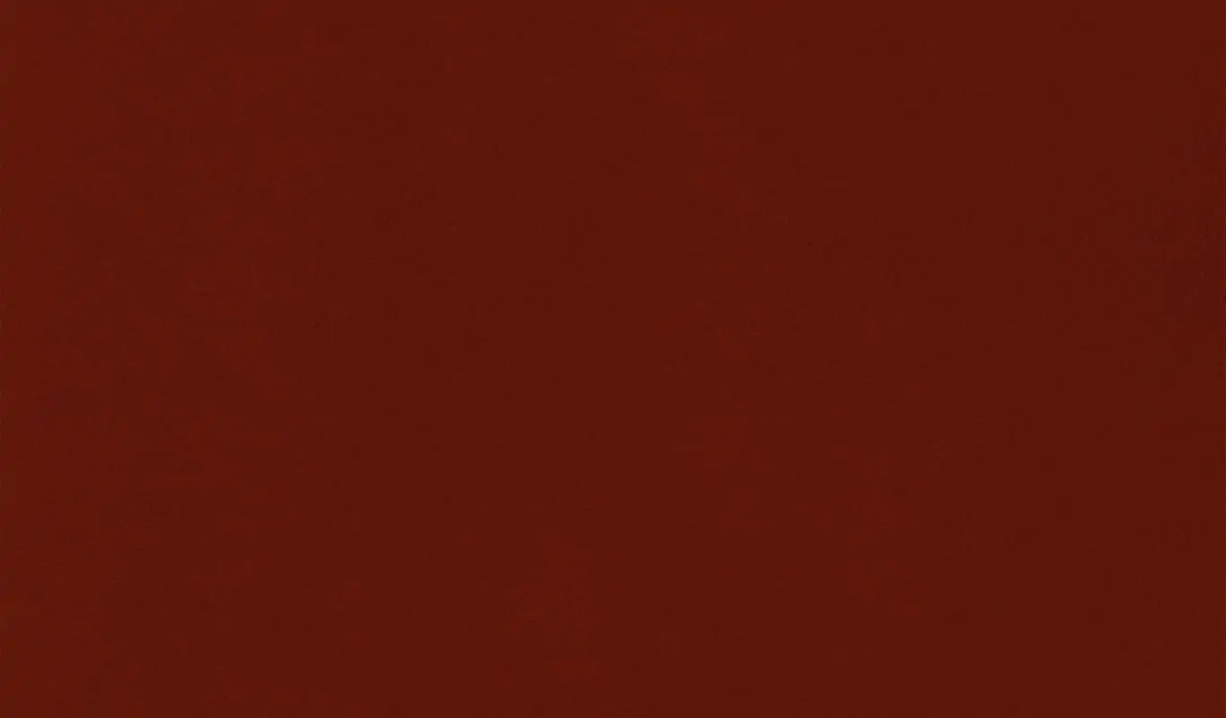 Rust 01 | Renard