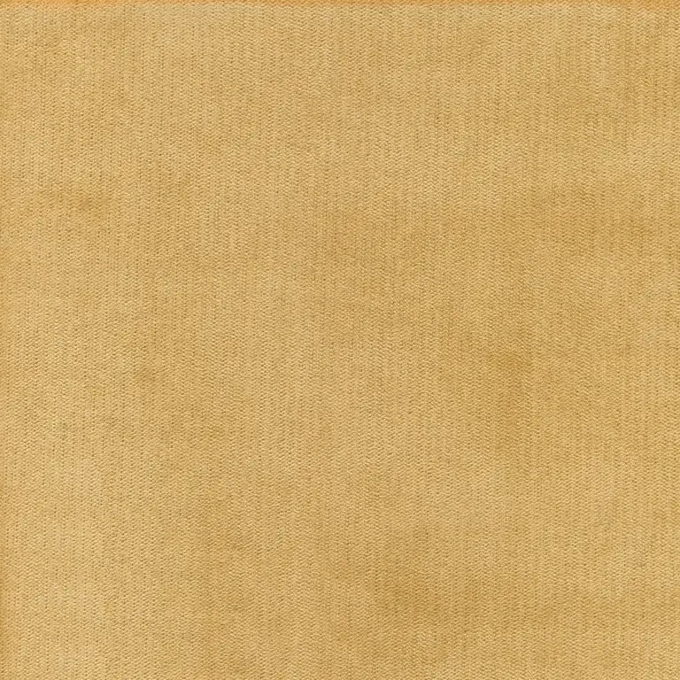 Camel 6