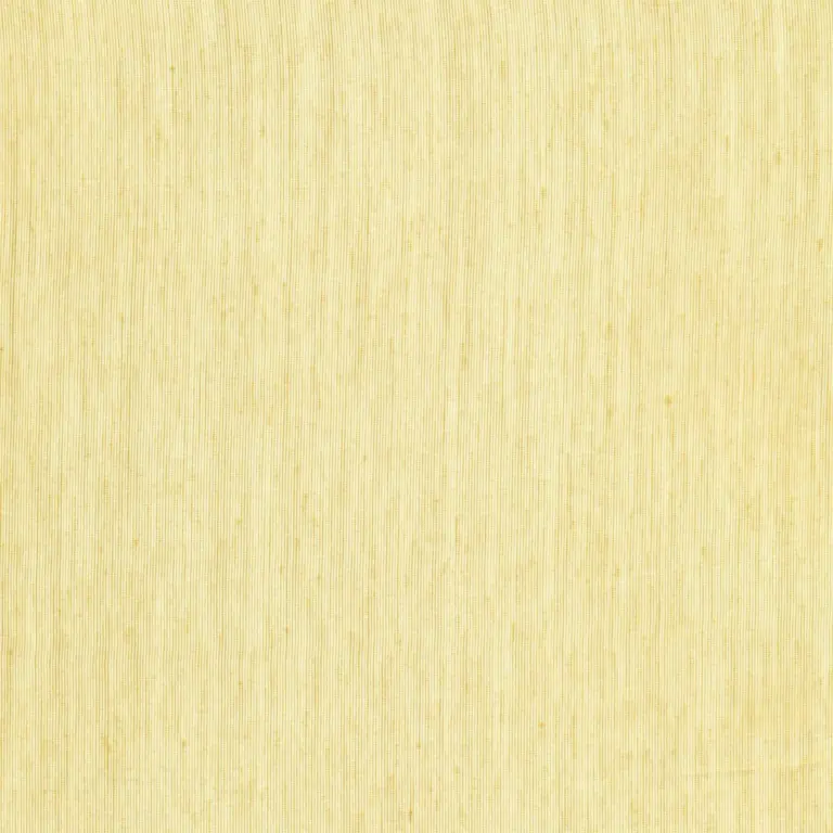 Camel 20