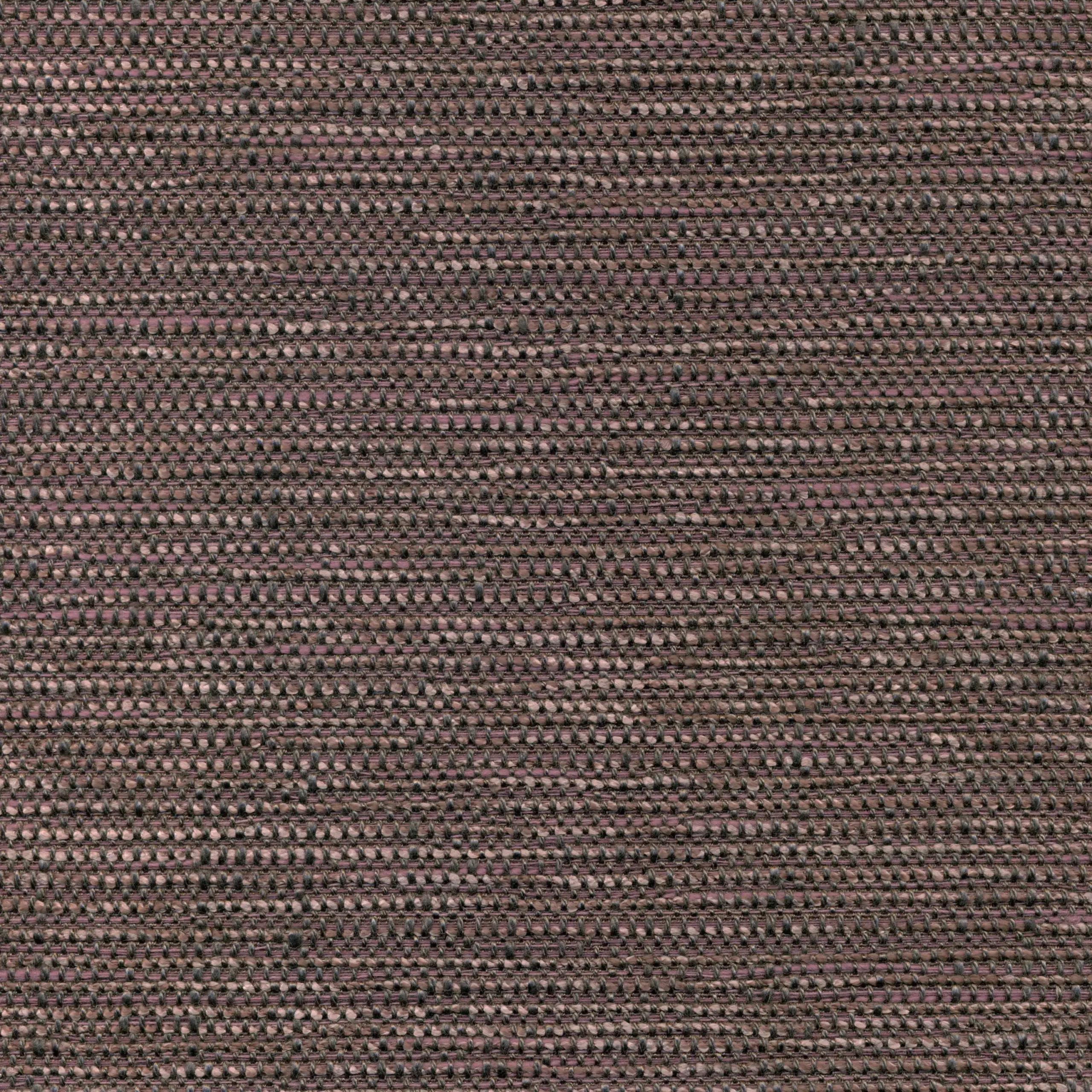 Plum 44 | Parker