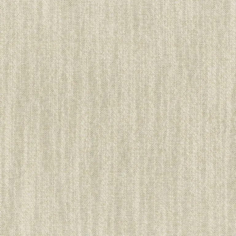 Fog 28