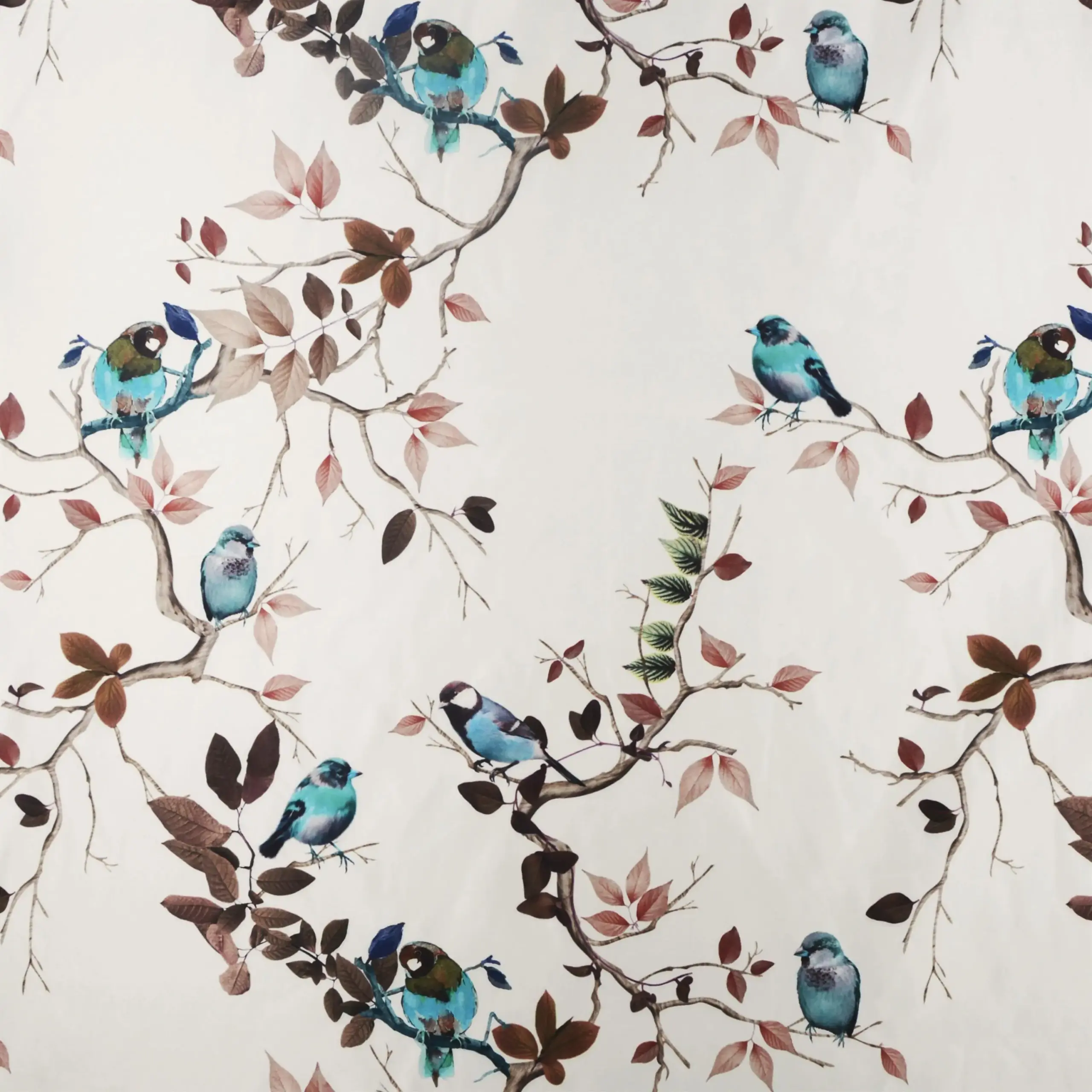 Turquise 03 | Sparrow