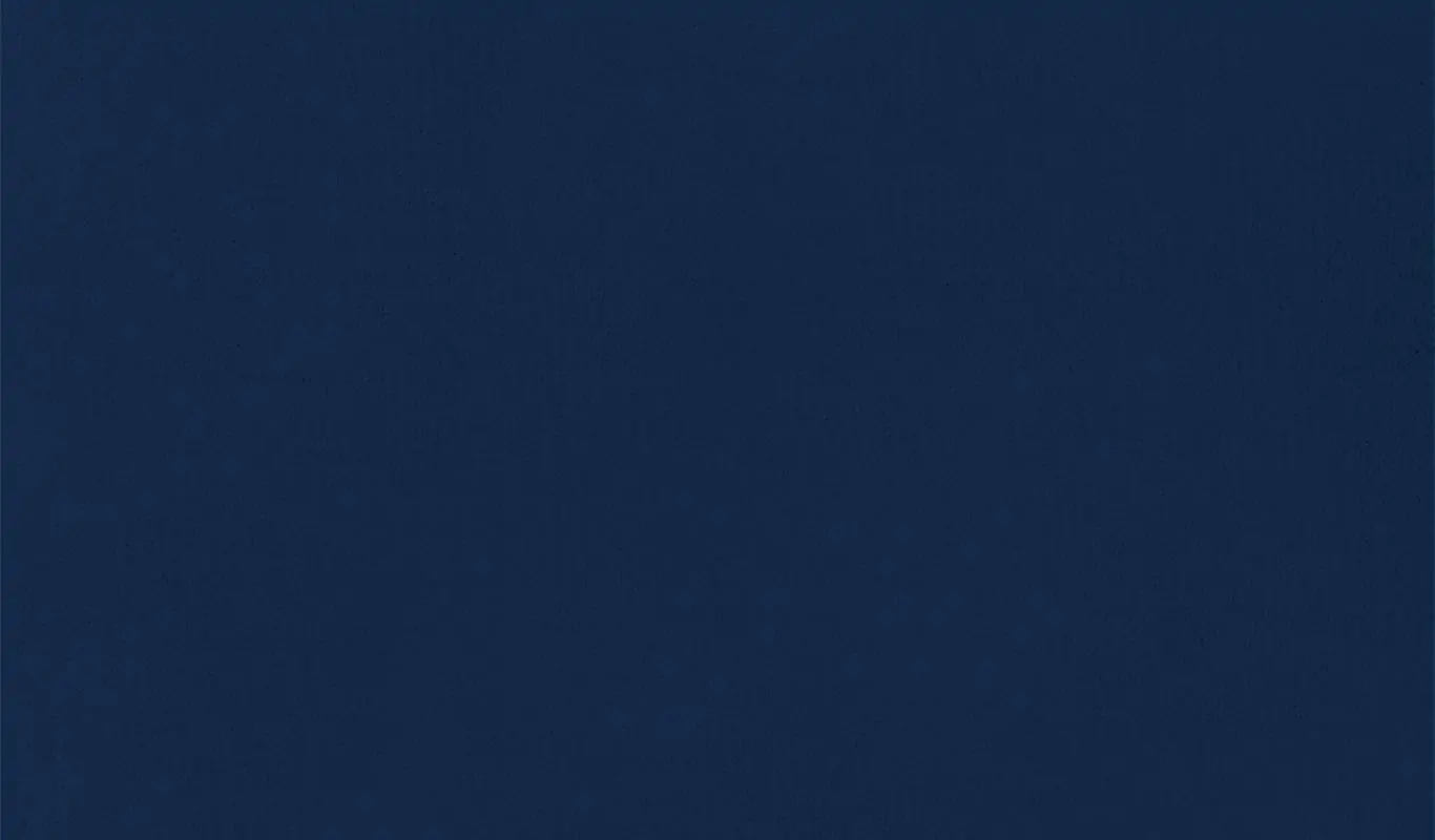 Indigo 38 | Renard