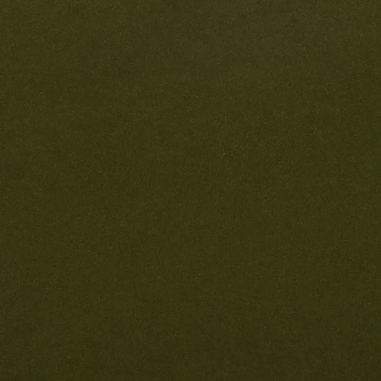 Avocado 11