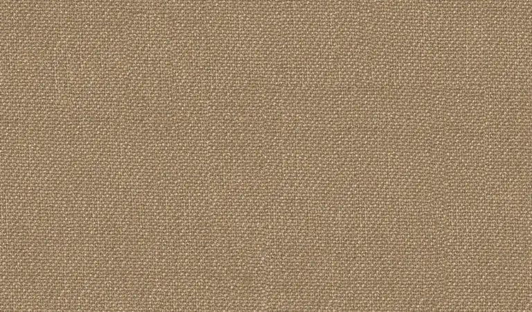 Tan 13