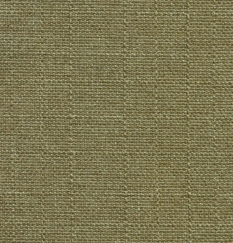 Olive 597