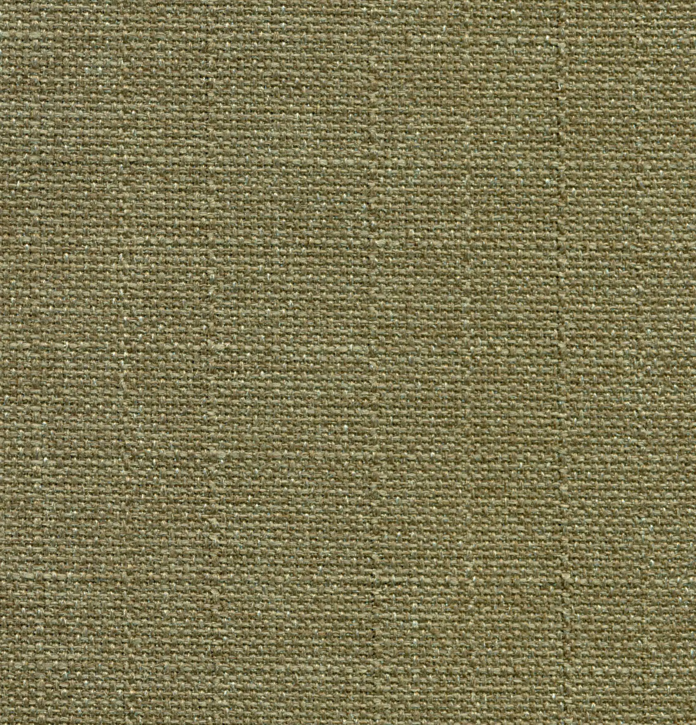 Olive 597 | Saute